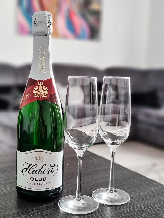 Spacious Apartment Near Hockey And Football Arena Bratislava Ngoại thất bức ảnh